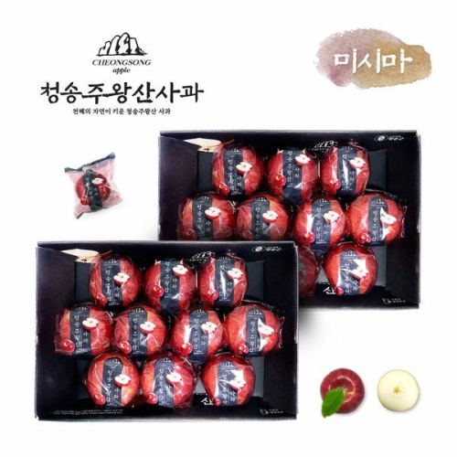  송원에이피씨 프리미엄 청송 주왕산사과 대과 2.7kg [2개]