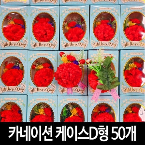 my1004 25년형 카네이션 D형 50개