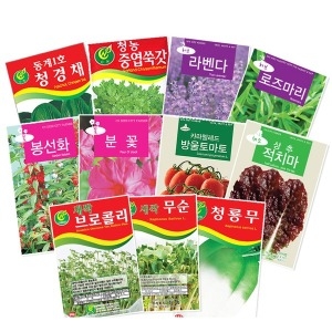 동산원 여름 적치마 상추 (3g)