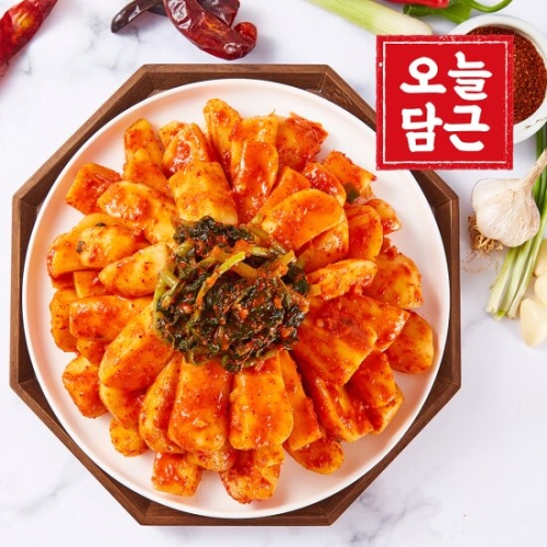 오늘담근 전라도 총각김치 5kg (1개)_이미지