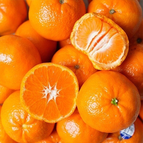 푸드대통령 만다린 감귤 3kg이미지입니다. 누르면 해당 게시물로 새창이동합니다.