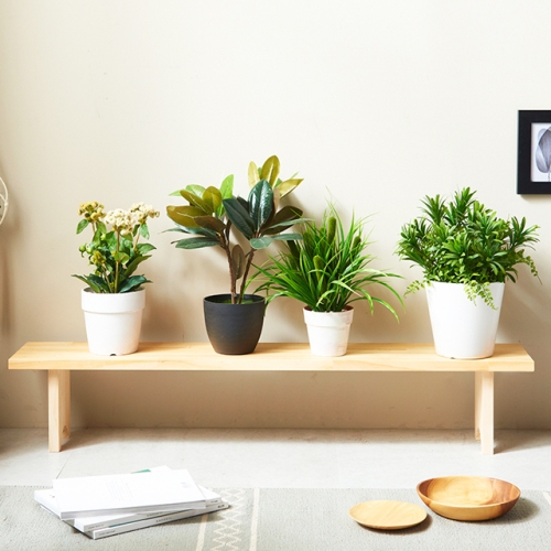 햇살맑은집 햇살맑은집  햇살맑은집  정리대 원목 초대형 다육이선반 우드 화분진열대 화분받침대