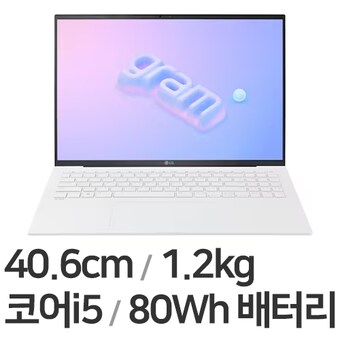 LG전자 2023 그램16 16ZD90R-GX56K WIN11