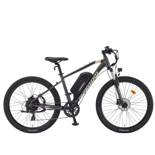 ��õ�������� ���� XC (2024����)