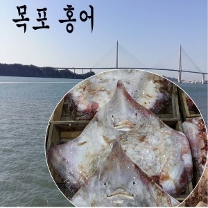 목포 홍어 5kg
