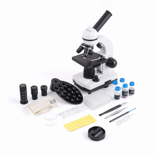 브레서 BF156 생물현미경_이미지