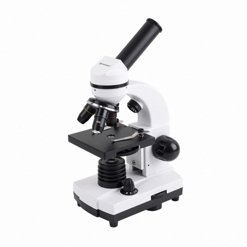 브레서 BF156 생물현미경_이미지