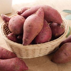 꿀고구마 특상 5kg