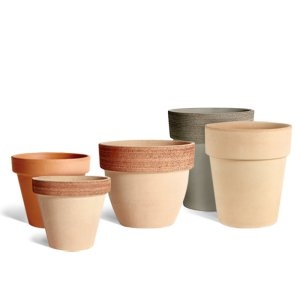 마이플랜트 마이플랜트 테라코타 바소 스탠다드 디그리아 이태리토분 11cm