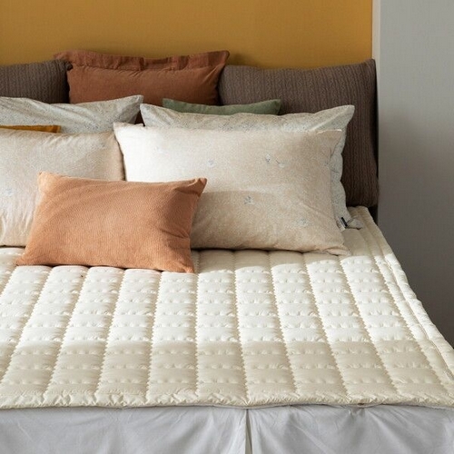 �ƶ߸��� Ŭ������ ����ߵ� ȣ�ֻ� ���100 ħ�� �е�