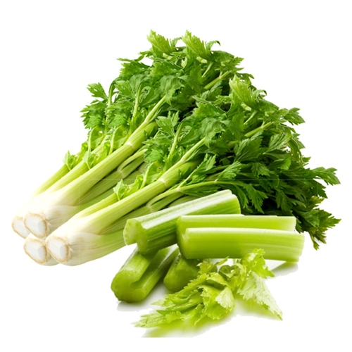 산정마을 국내산 샐러리 2kg 3kg 5kg이미지입니다. 누르면 해당 게시물로 새창이동합니다.