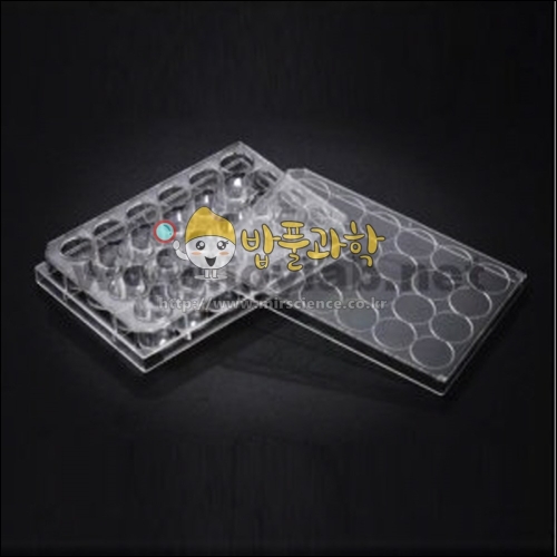 SPL 사이언스마켓 ssc실험용 24홈판 24well plate_이미지