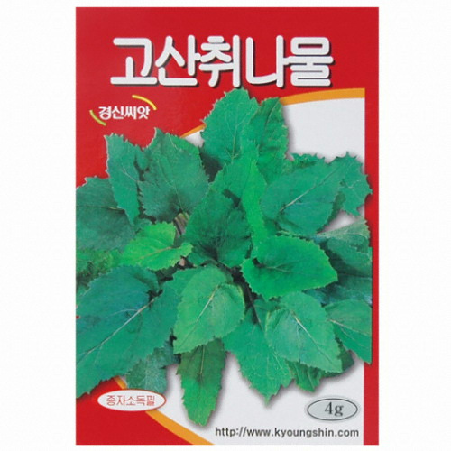 고산취나물 씨앗