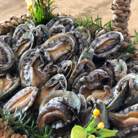 해신수산 완도활전복 라면전복 40~70개(마리) 1kg (1개)