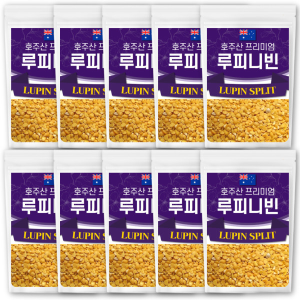 THE큰나무 프리미엄 루피니빈콩 1kg (10개)_이미지