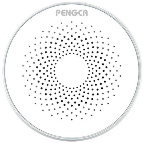 펭카 ㅤ사이렌 경보기_이미지