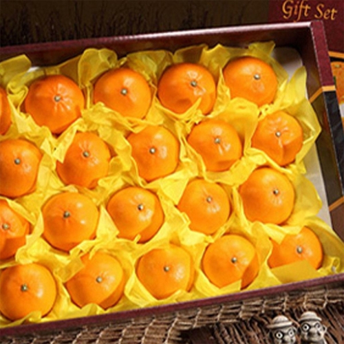 올탑농원 산지직송 천혜향 대과 11-15과 5kg