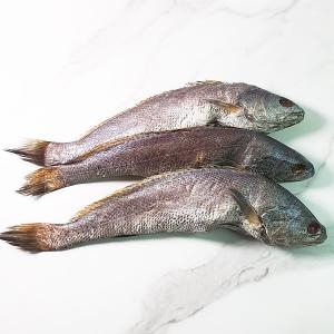 통민어 3미 1.1kg내외