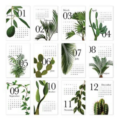 2023 아트 캘린더 9 Botanical