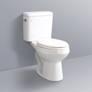 대림바스 인토 중대형 양변기 C-252