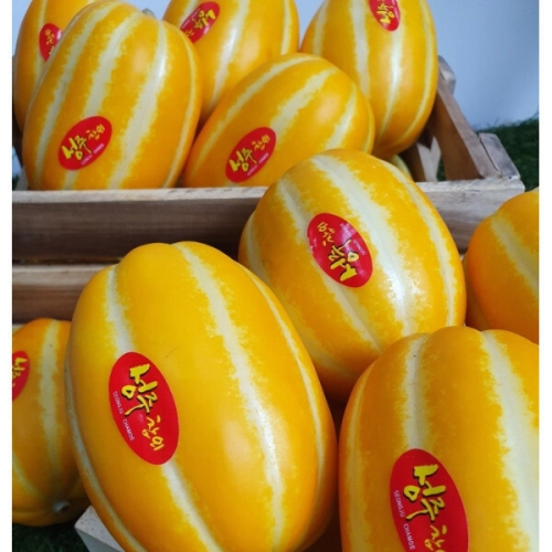 [불명] 푸드박스 꿀벌 성주참외 가정용 랜덤과 5kg_이미지