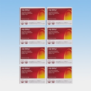 ���ͺ��� Ǫ�� �ֹ��� 600mg 30ĸ��