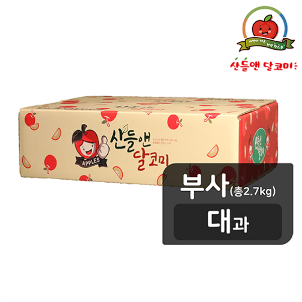 �̷����� ���� ���ڹ� ��ô��� ��� 2.7kg