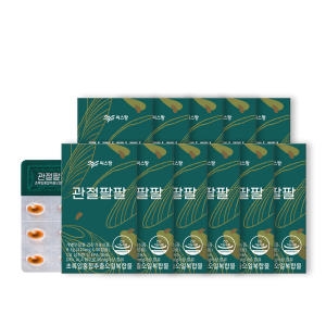 에스디생명공학 씨스팡 관절팔팔 310mg 30캡슐 (11개)