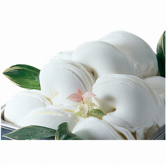 파브리 요거트 젤라또 5L