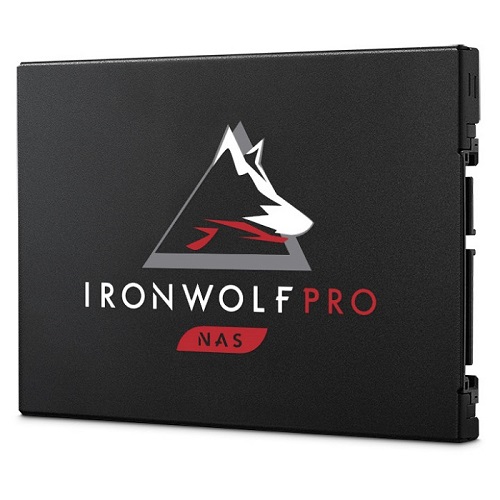 Seagate IronWolf Pro 125 SSD (3.84TB)_이미지