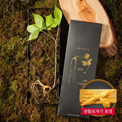일품명가
