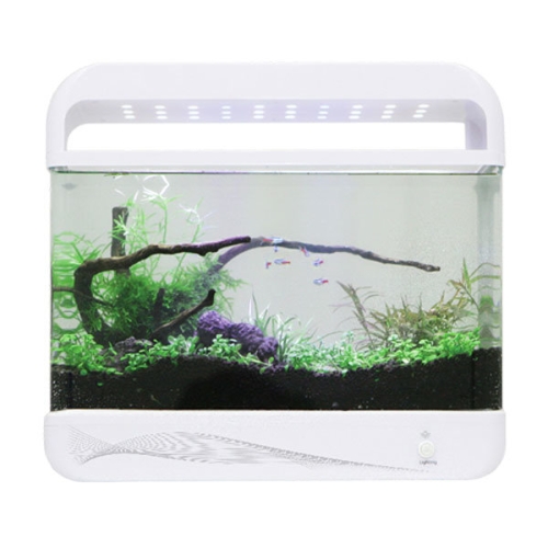 아마존 AMZ-2000A 일체형 수조_이미지