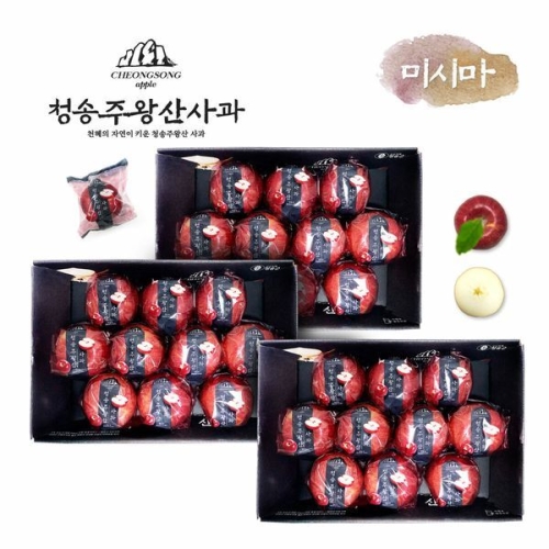 프리미엄 청송 주왕산사과 대과 2.7kg