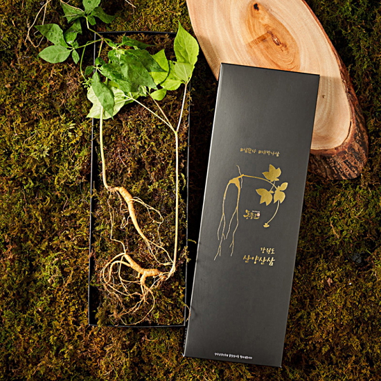 명가일품 명가천삼 강원도 토종 산양삼 5~6년근 2뿌리