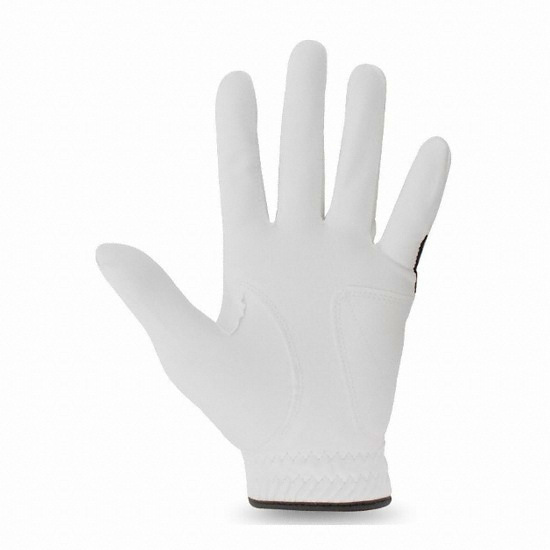 HJ 이그잭트 멀티 (1개)_이미지