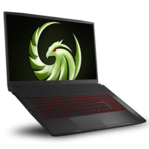 MSI 브라보 17 A4DDR [SSD 256GB]