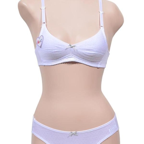 ���� 2�ܰ� �ִϾ� AA�� �л� �����Ƽ ��Ʈ ��� WD6C5E9