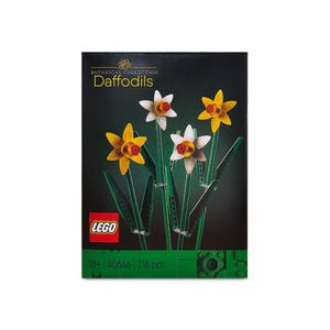 ���� ����ȭ (40646)