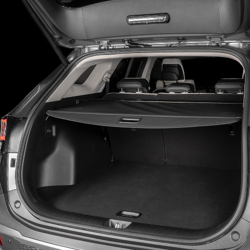 벤딕트 러기지 스크린 (모하비 더마스터)_이미지