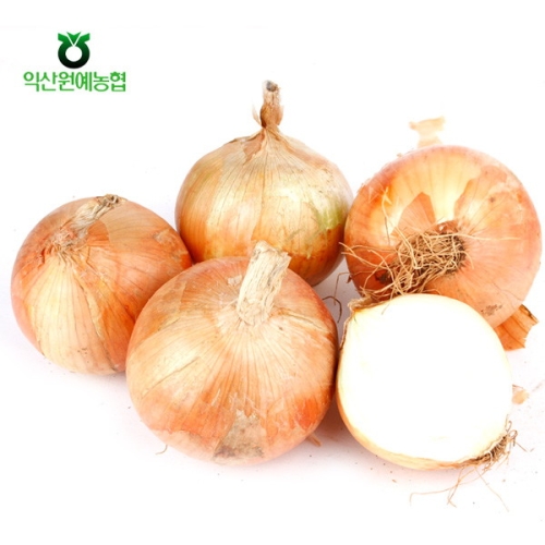 익산원예농협 양파 특품 5kg_이미지