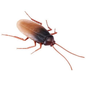 장난감 모형 어린이 놀이 로보얼라이브 바퀴벌레 곤충_이미지
