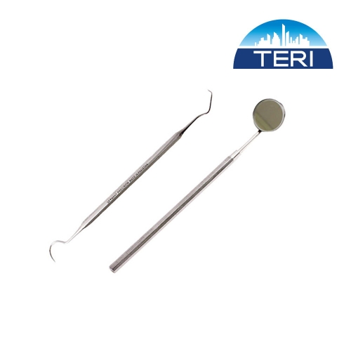 TG 의료용 고급 스텐 치석제거기+치경세트