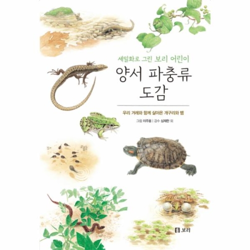 보리 세밀화로 그린 보리 어린이 도감 (보급판) (양서 파충류)