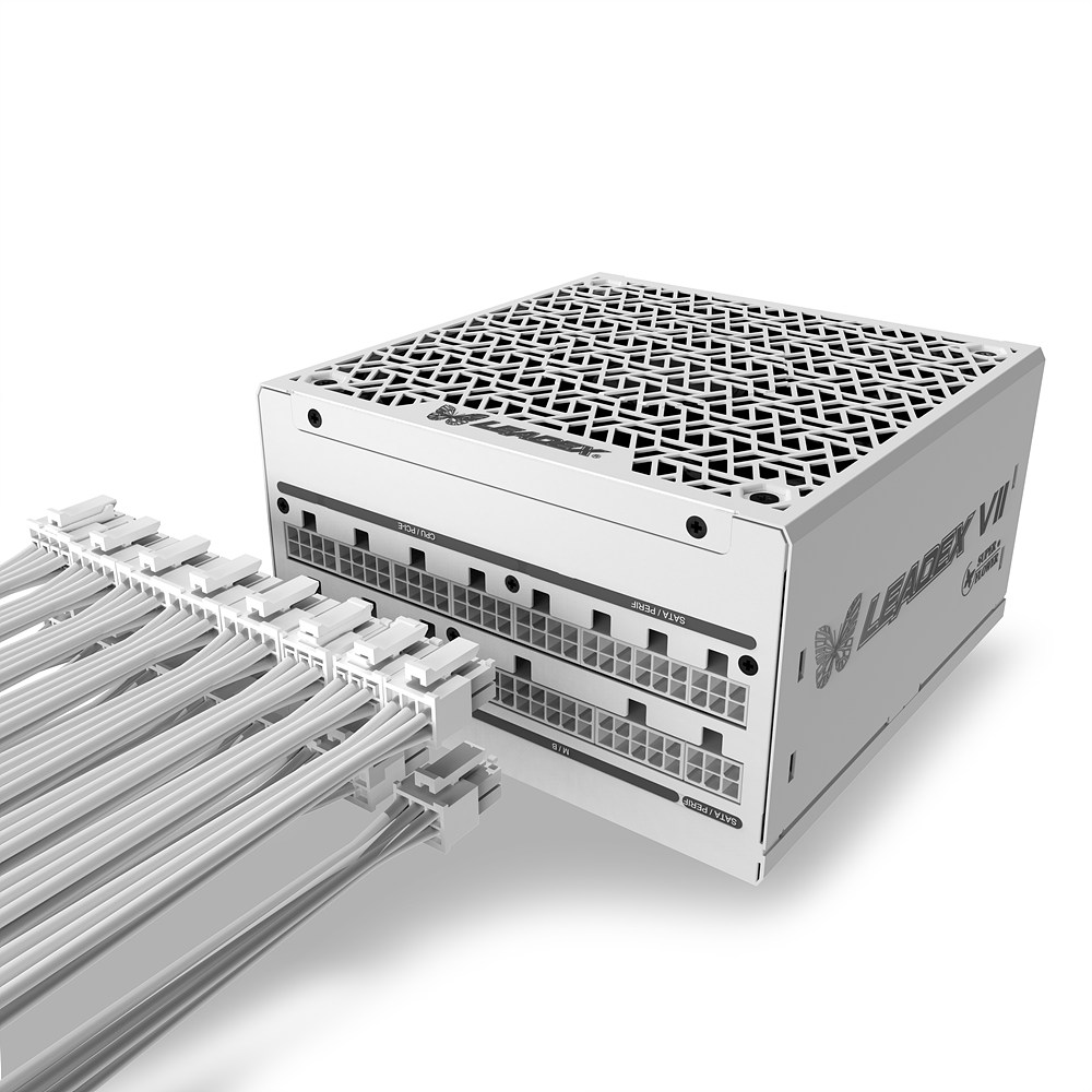 SuperFlower SF-1000F14XG LEADEX VII GOLD ȭ��Ʈ ATX3.1