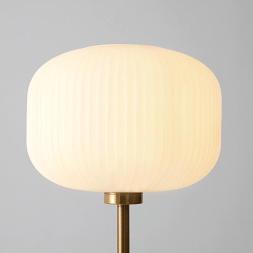 �ѻ� LED �ø���� �÷ξ�ĵ�