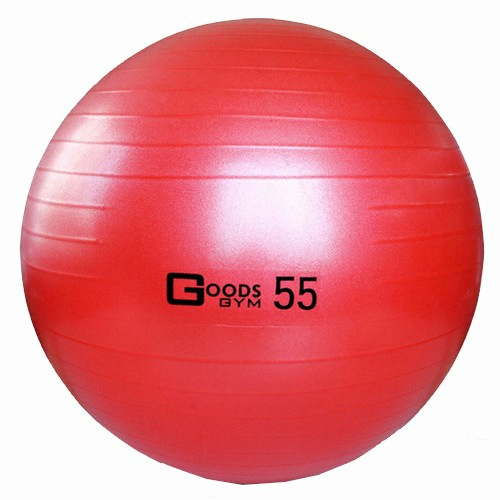 구스짐 프리미엄 짐볼 55cm_이미지