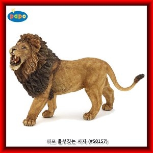 파포 울부짖는 사자 (50157)이미지입니다. 누르면 해당 게시물로 새창이동합니다.