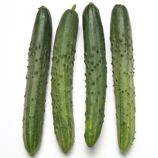 사라상회 취청오이 상 20개 4.5kg내외 (1개)