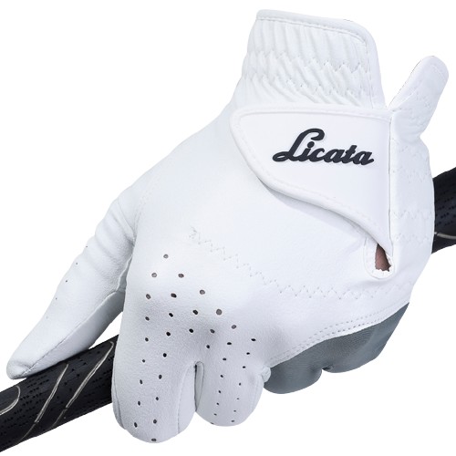 ��īŸ �ַν��ڶ� �ݾ��� �����尩