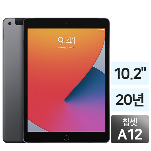 APPLE iPad 8세대 Cellular (32GB)